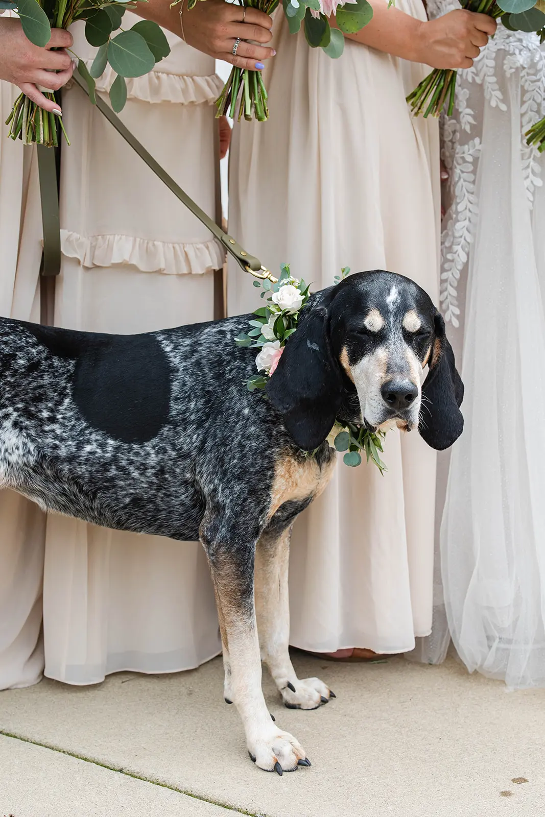 Chestnut Ridge Alle and Nathan Wedding by Christa Rene Photography 11 Chestnut Ridge Alle and Nathan Wedding by Christa Rene Photography 11