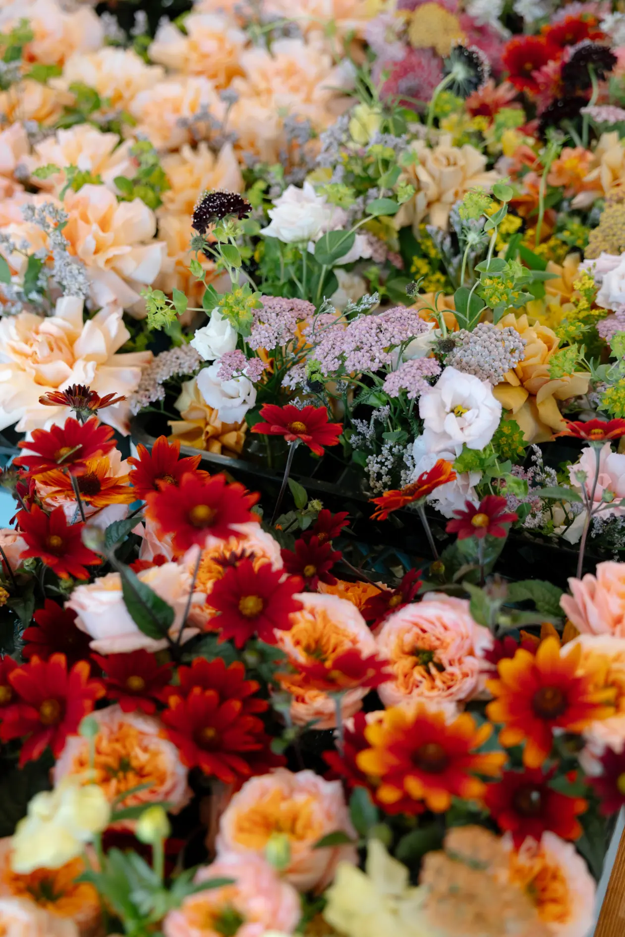 Chestnut Ridge Kyla and Dawson Wedding Sam Photo Co. 7 Chestnut Ridge Kyla and Dawson Wedding Sam Photo Co. 7