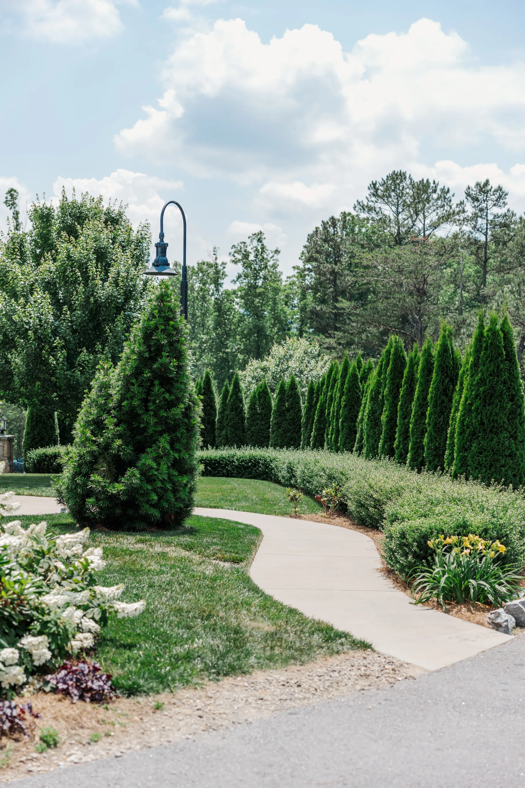 Staff Picks Chestnut Ridge 9